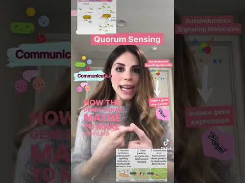 Bacteria Quorum Sensing in 1 minute #biology #microbiology #science #medicine #nursing #premed