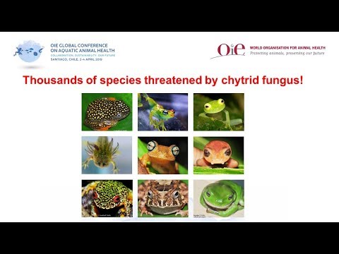 Protecting biodiversity from an emerging disease of amphibians